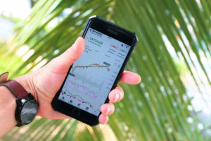 Unleashing The Power Of Nem For Profitable Gains