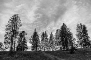 Ethereum Classic: Unleashing The Vintage Value